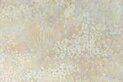 Обои Kerama Marazzi April (Апрель) KM7508